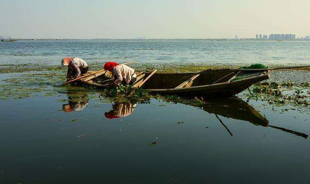 金道贵金属投资价值分析